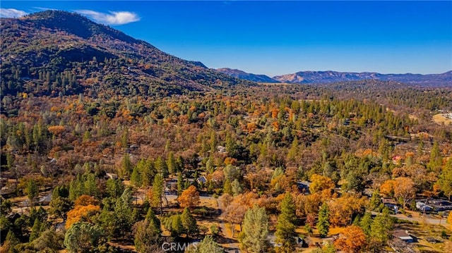 view of mountain feature featuring a wooded view