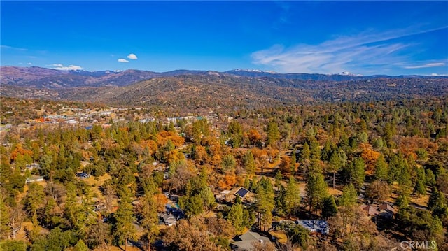 property view of mountains with a forest view