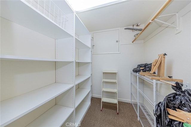 spacious closet featuring carpet flooring