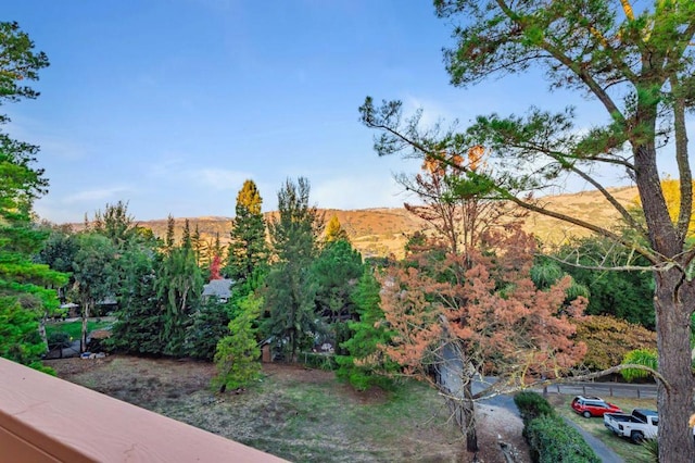 view of yard featuring a mountain view