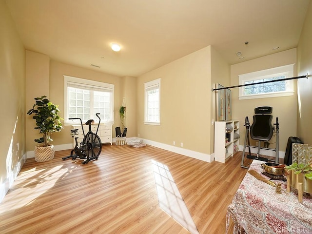 workout room featuring light hardwood / wood-style flooring and plenty of natural light