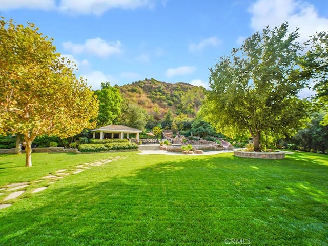 view of property's community with a mountain view and a yard