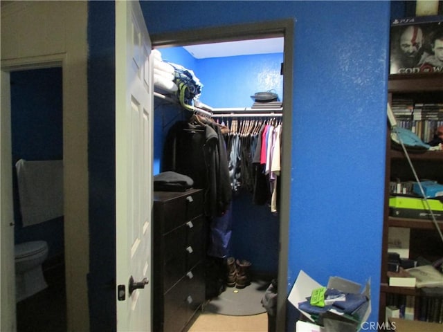 view of walk in closet