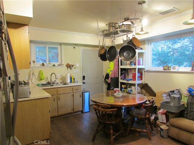 dining area featuring dark hardwood / wood-style flooring, crown molding, and sink