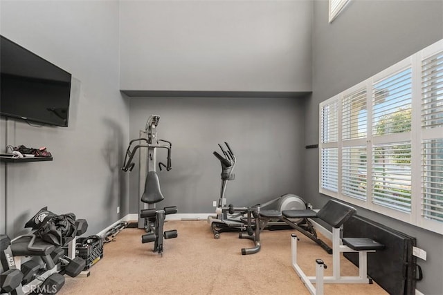 workout area with carpet floors