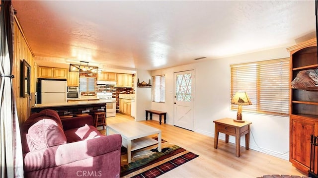 living room featuring light hardwood / wood-style flooring