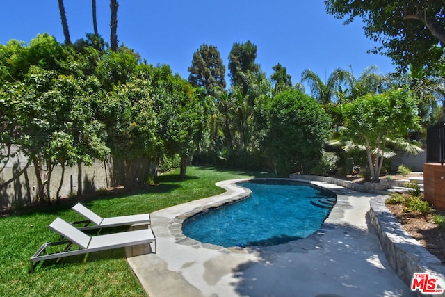 view of swimming pool featuring a lawn