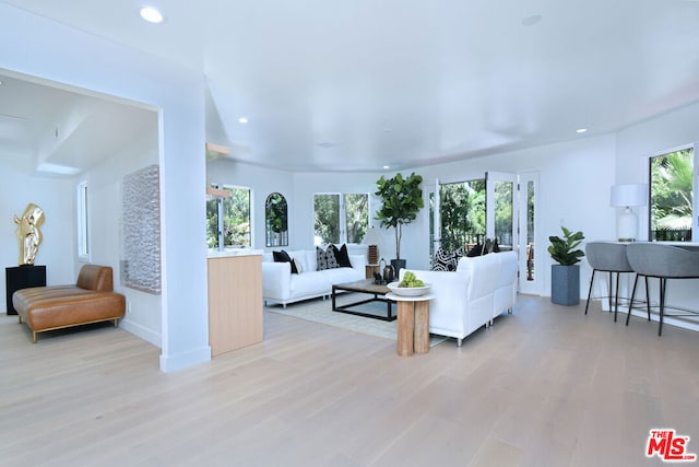 living room with light hardwood / wood-style flooring and plenty of natural light