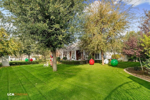 9120 Laramie Ave, Bakersfield, CA 93314 - view of yard