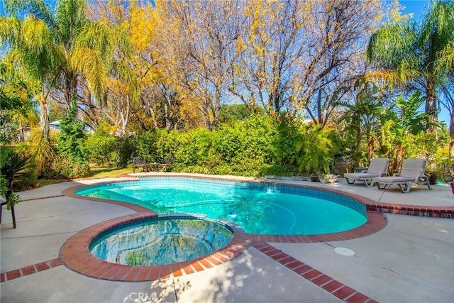 view of pool featuring a patio area and an in ground hot tub