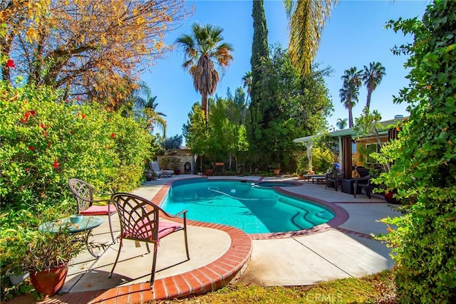 view of pool with a patio