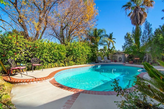 view of pool featuring a patio