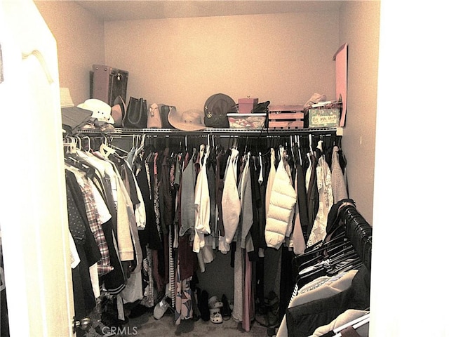 view of spacious closet