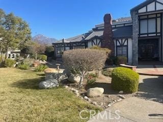 view of yard with a mountain view