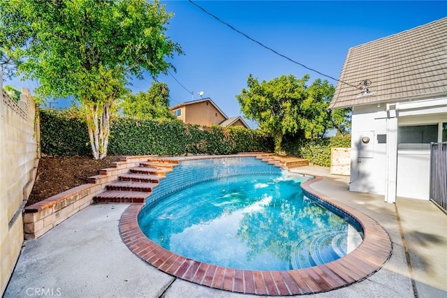 view of pool with a patio