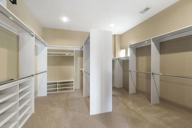 spacious closet featuring light colored carpet