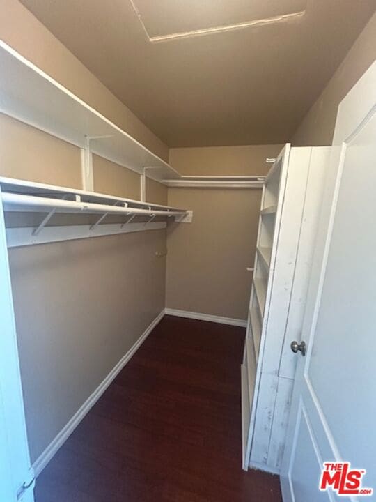 spacious closet with dark hardwood / wood-style flooring