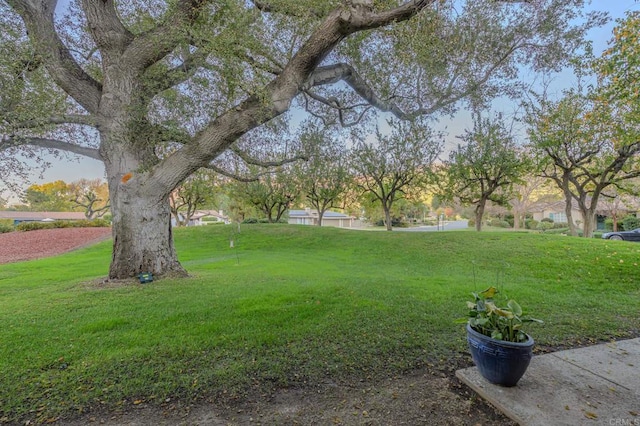 32202 Taupa Way, Pauma Valley, CA 92061 - view of green lawn