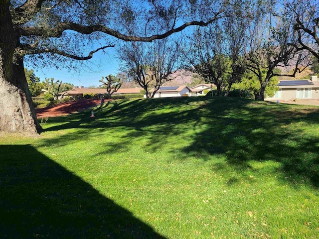 32202 Taupa Way, Pauma Valley, CA 92061 - view of green lawn