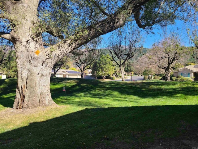 32202 Taupa Way, Pauma Valley, CA 92061 - view of green lawn