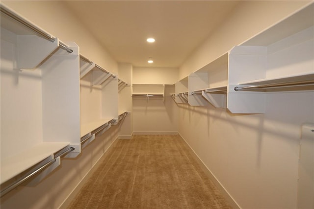 walk in closet with carpet floors