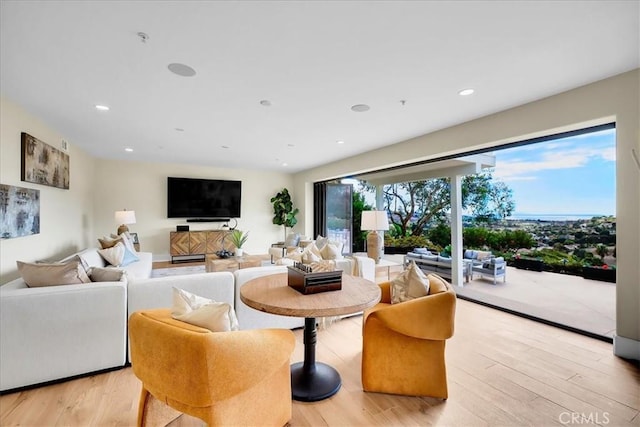 living room with plenty of natural light and light wood-type flooring