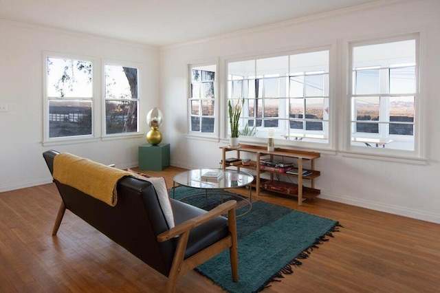 sitting room with crown molding and wood-type flooring