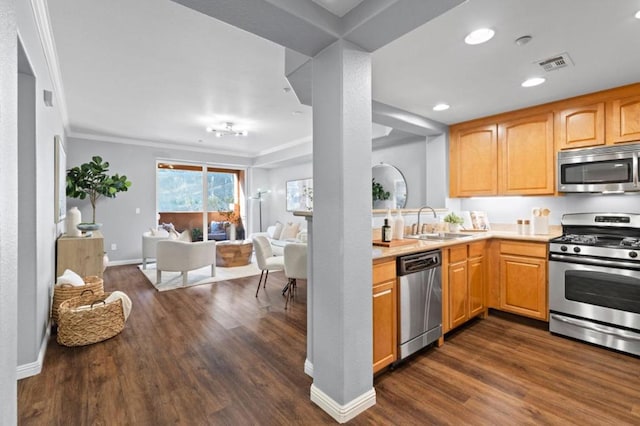 kitchen with ornamental molding, appliances with stainless steel finishes, dark hardwood / wood-style flooring, and sink