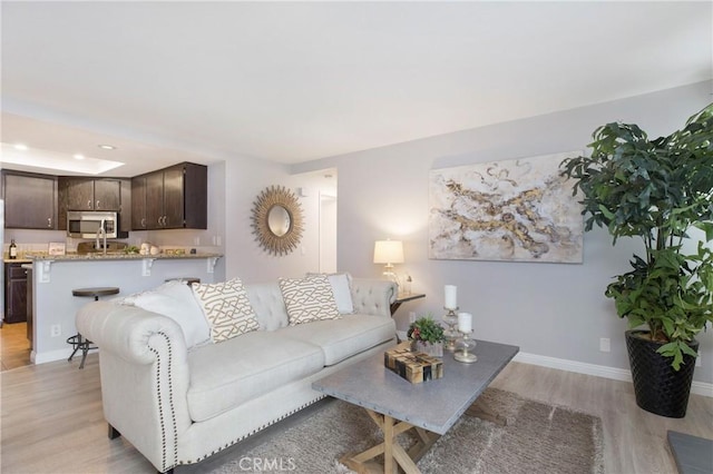 living room featuring light hardwood / wood-style floors