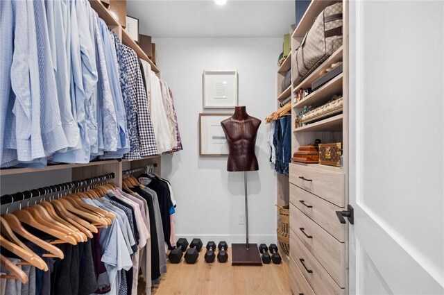 spacious closet featuring light wood-type flooring