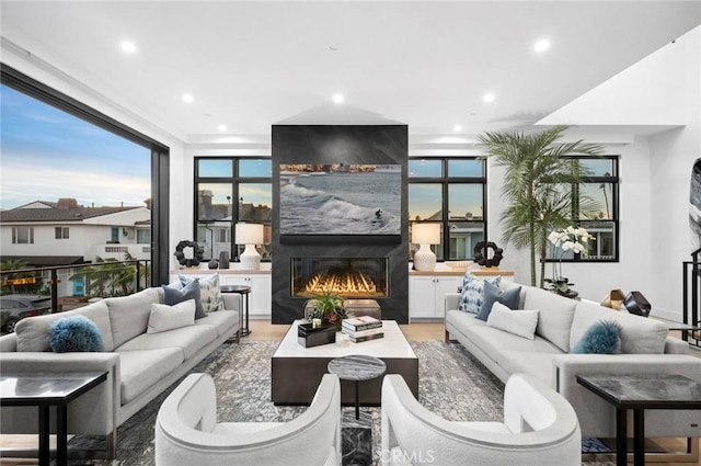 living room featuring a fireplace and wood-type flooring