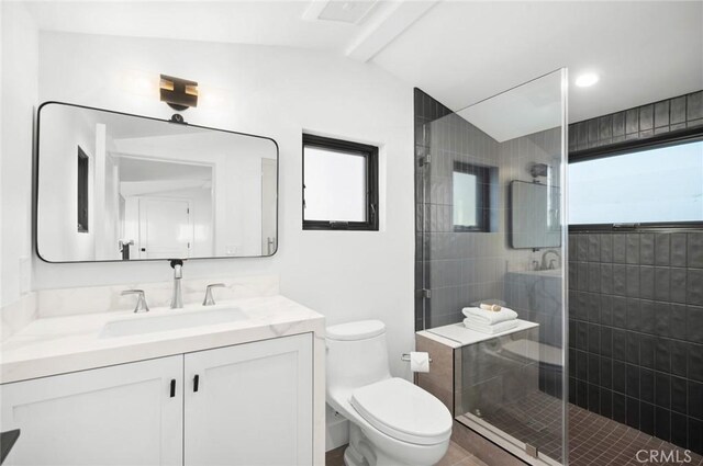 bathroom with a shower with shower door, a healthy amount of sunlight, lofted ceiling, and toilet