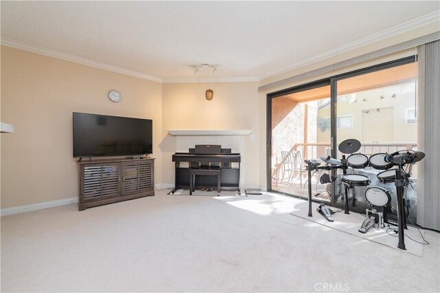 miscellaneous room with light colored carpet and crown molding