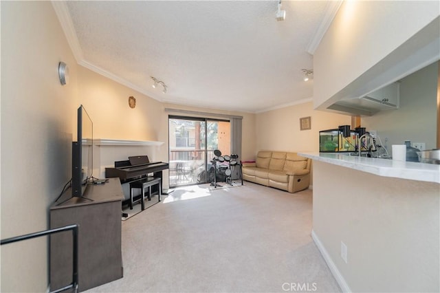 living room with rail lighting, sink, carpet, and ornamental molding