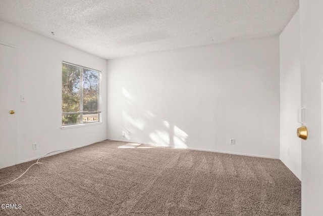 spare room with carpet and a textured ceiling