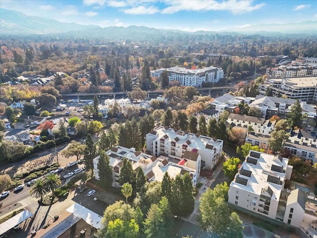 birds eye view of property with a mountain view