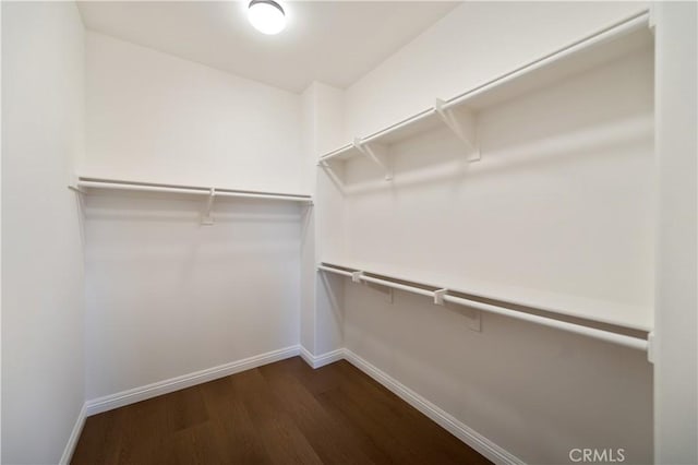 walk in closet with dark hardwood / wood-style floors