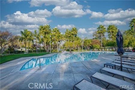 view of swimming pool