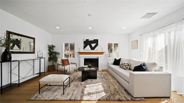 living room with a wealth of natural light and hardwood / wood-style floors