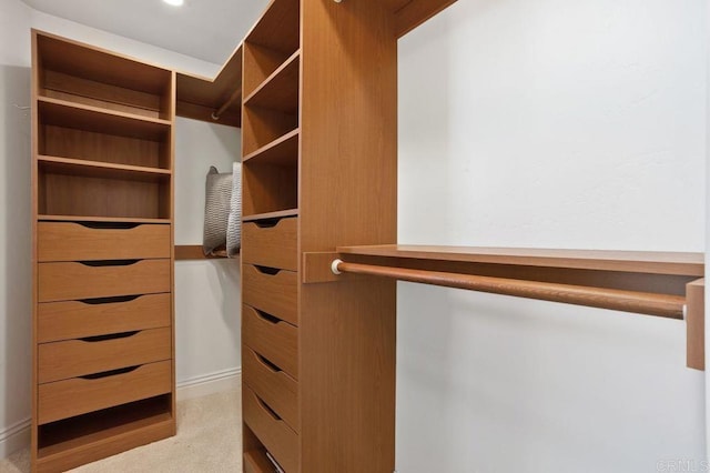 view of spacious closet