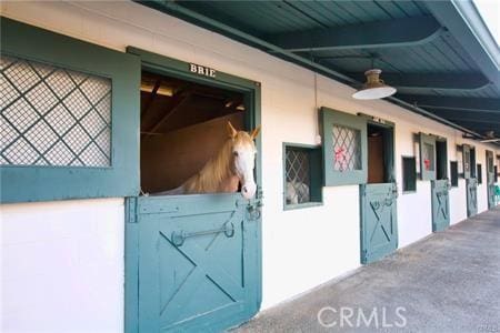 view of horse barn