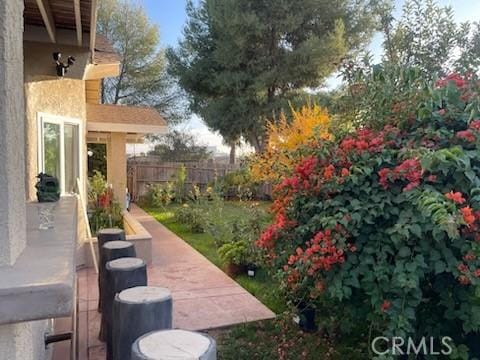 view of yard with a patio area