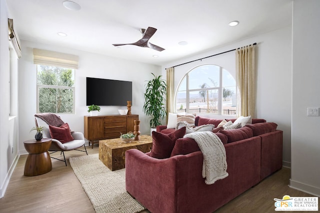 living room with ceiling fan and hardwood / wood-style flooring