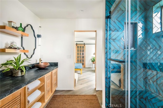 interior space featuring vanity, wood-type flooring, and an enclosed shower