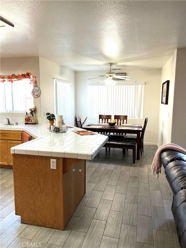 16976 Torino Dr, Victorville, CA 92395 - photo 9