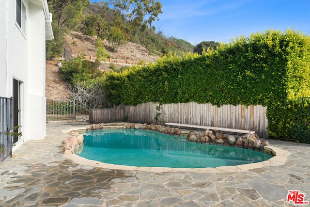 view of pool with a patio area