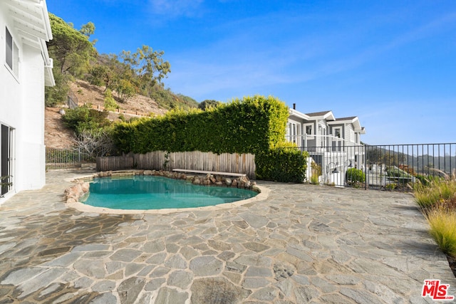 view of swimming pool with a patio