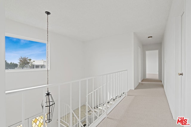 hall featuring light carpet and a textured ceiling