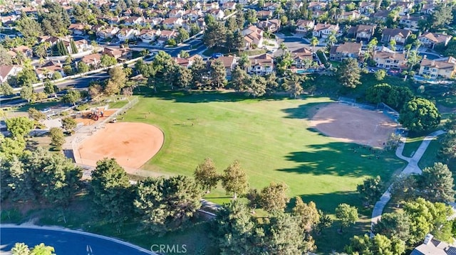 bird's eye view