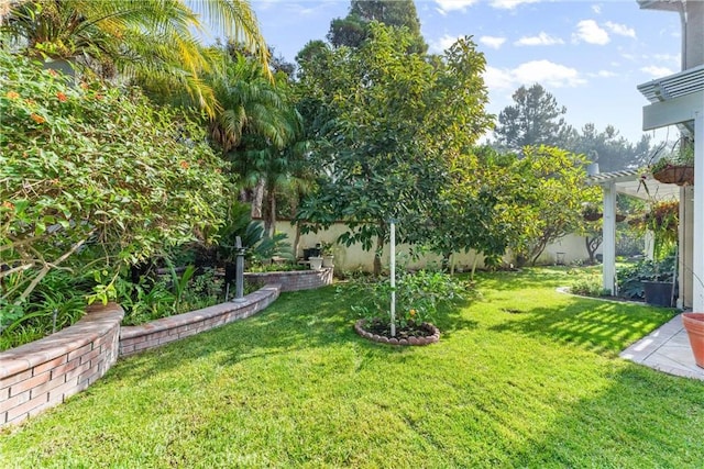 view of yard featuring a pergola